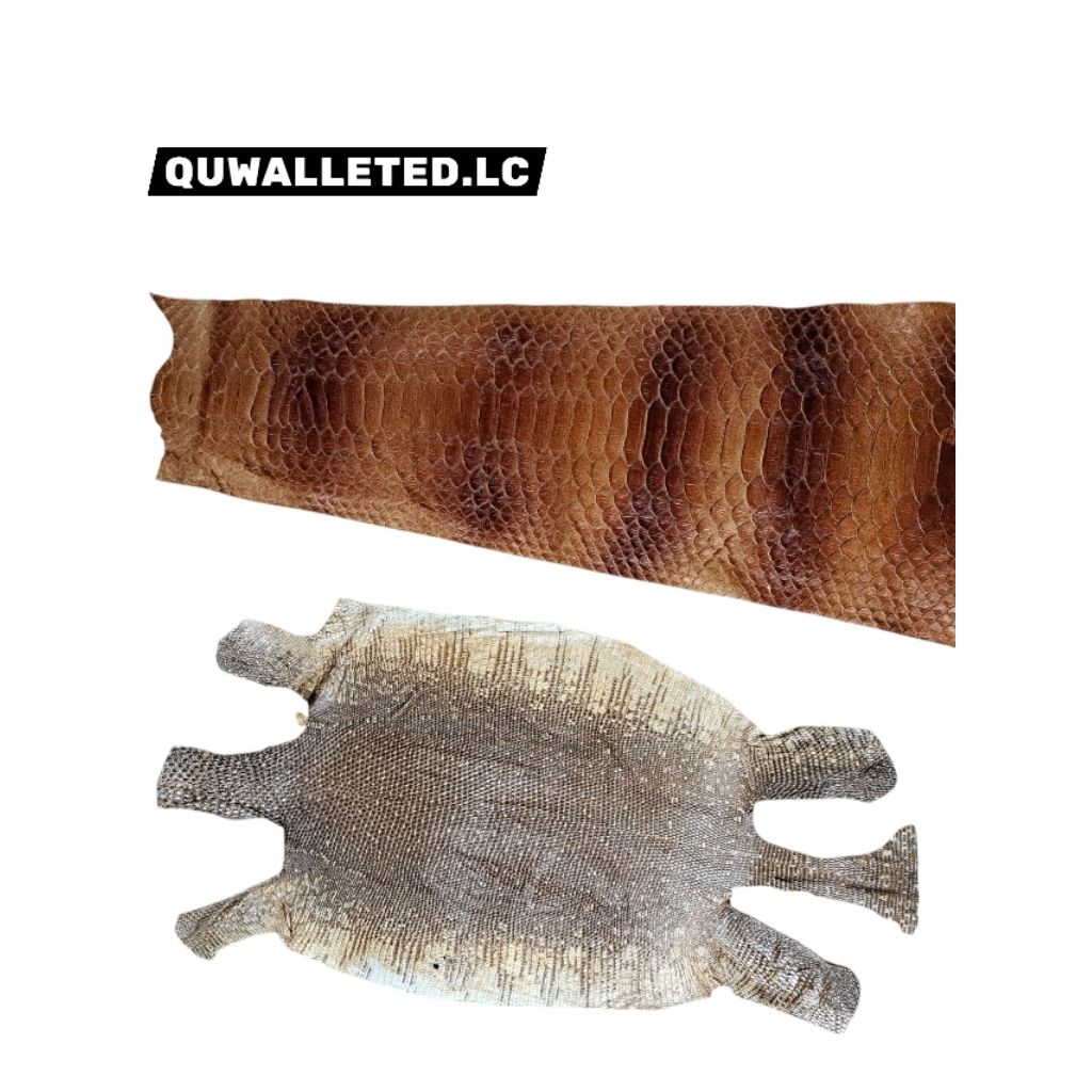 Bahan kulit ular,Bahan kulit Biawak/Bahan kerajinan Tas/untuk motif