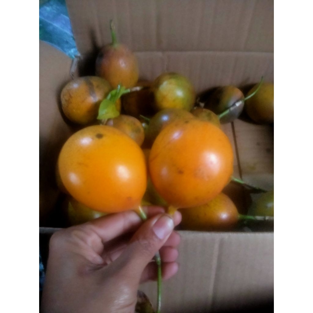 

konyal markisa madu l satuan l manis