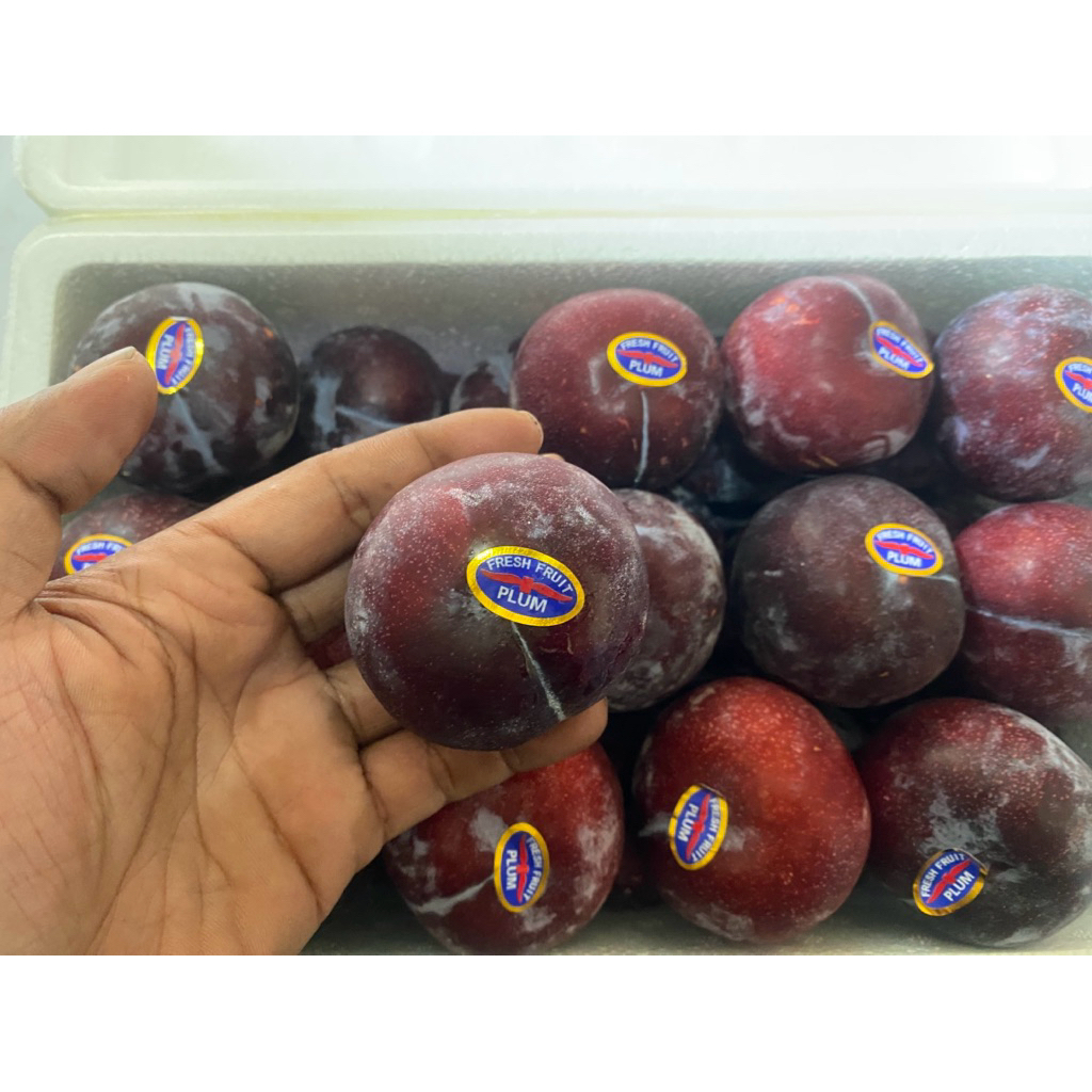

buah plum buah untuk diet manis Seger fresh 1 kg