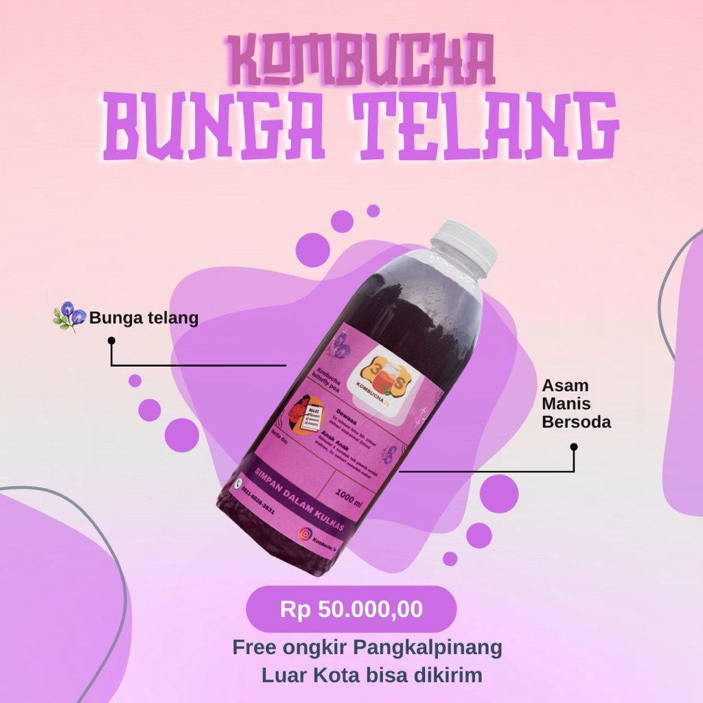 

Kombucha butterflypea