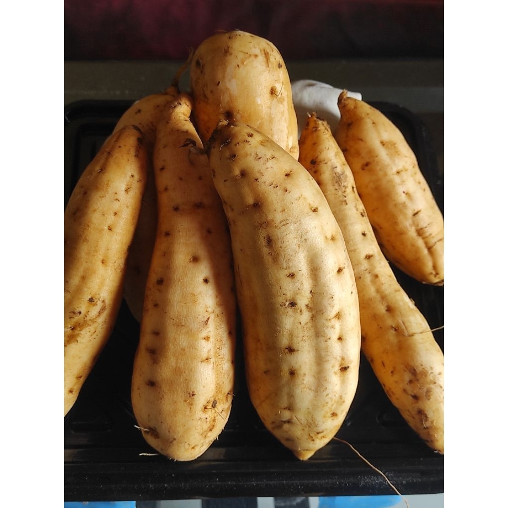 

Umbi Cilembu kwalitas terbaik per 1kg