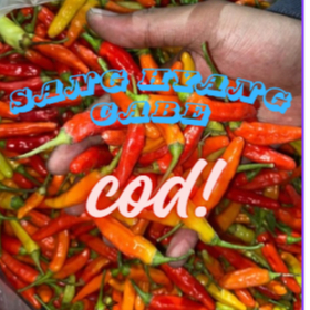 

100 gram cabe rawit merah fress petik langsung dari petani