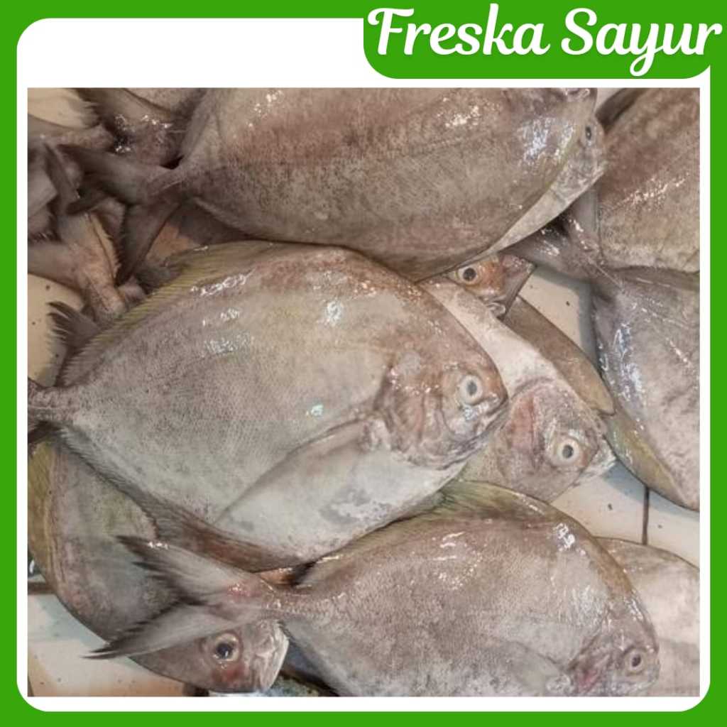 

Ikan Bawal Laut Fresh 1 Kg (Hanya Tersedia Untuk Order Malam Jam 18.00- 23.00)