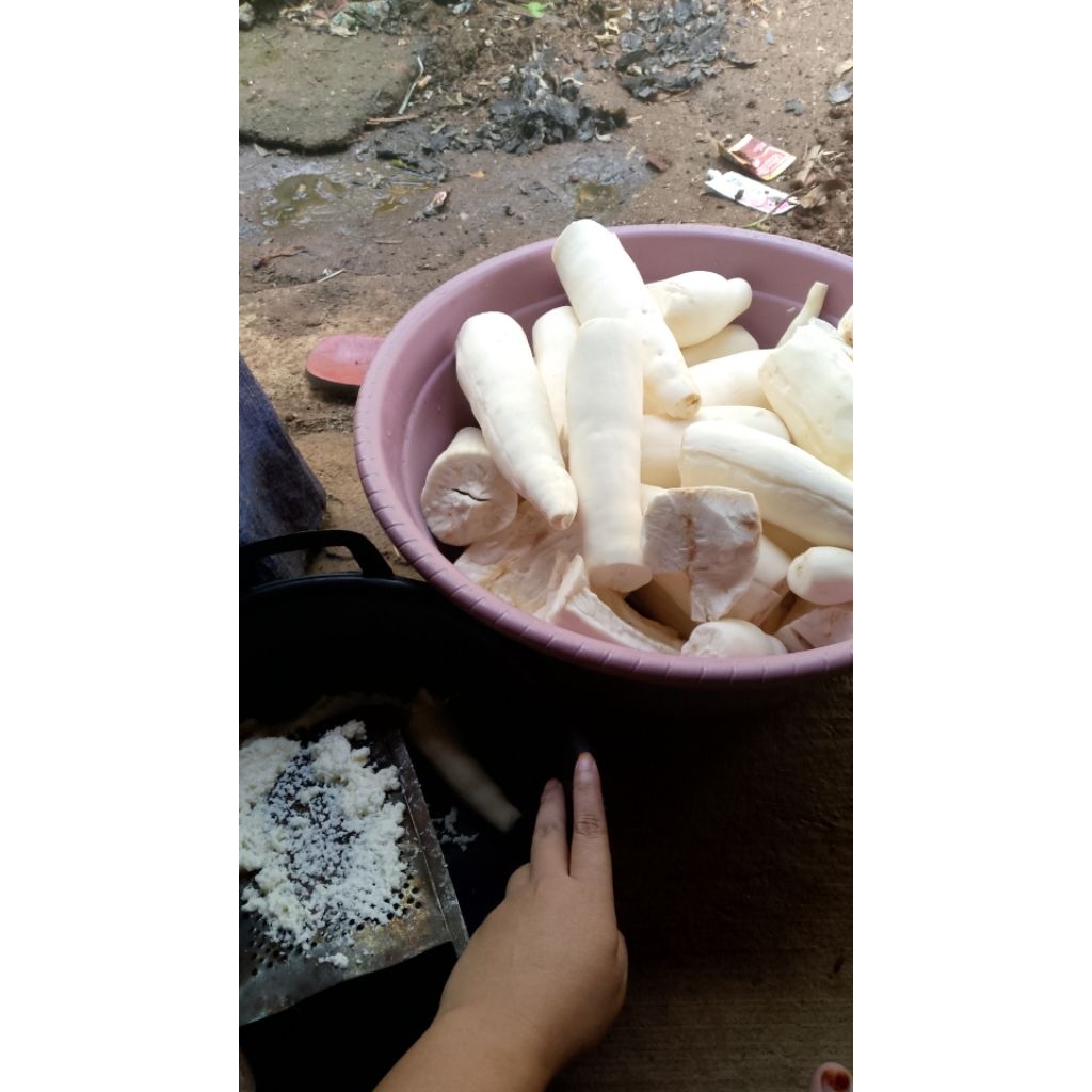 

opak/kecimpring sunda buatan rumahan