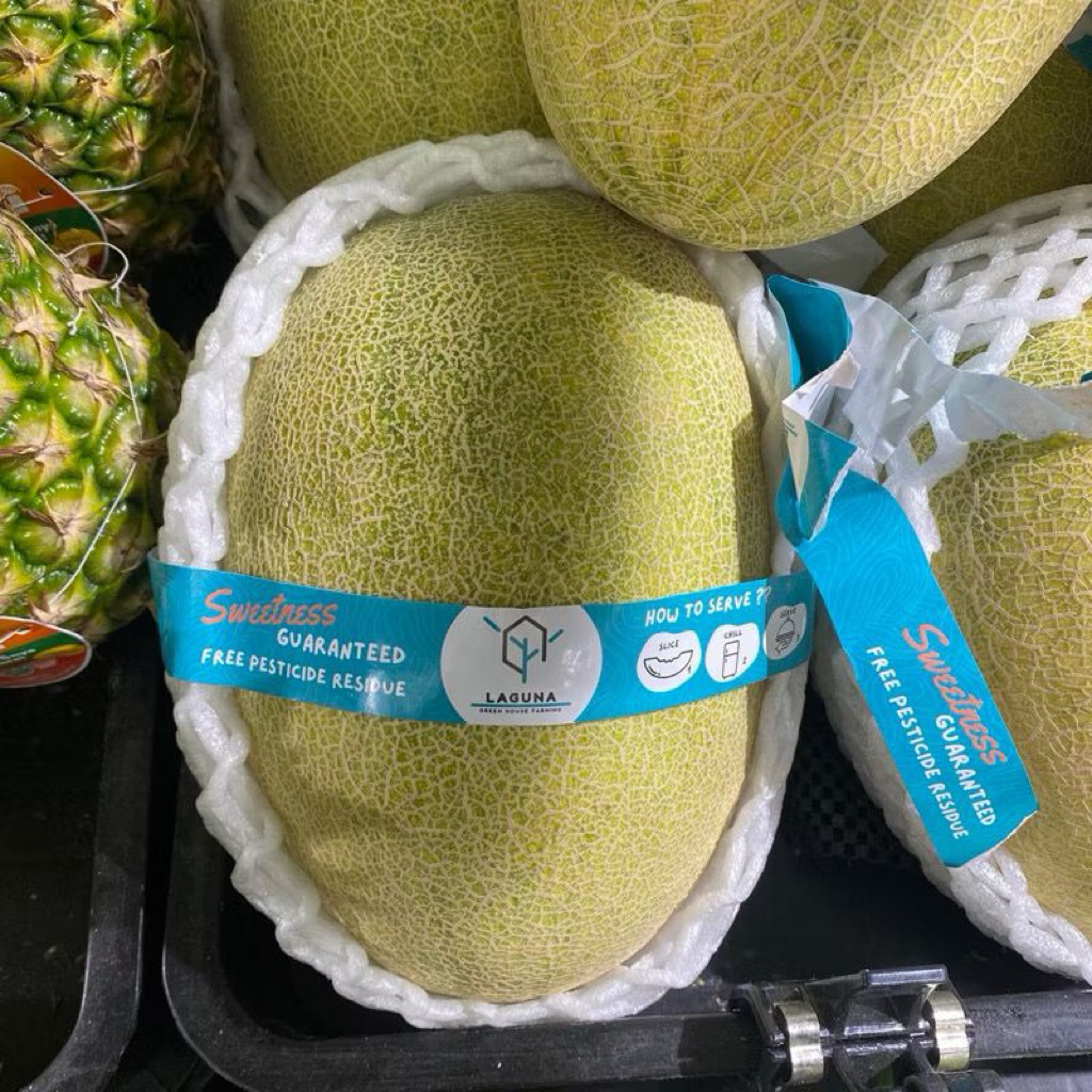 

Melok King Hamiqua Manis Fresh | Pcs