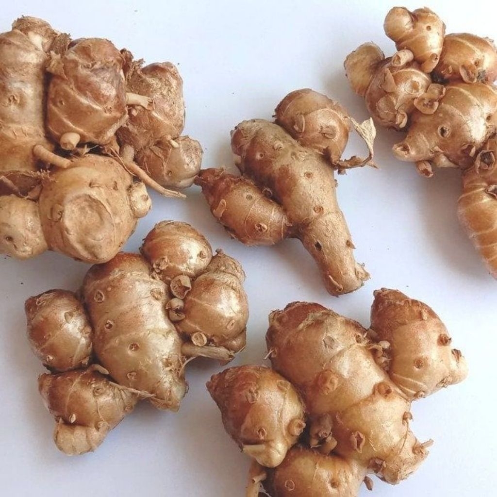 

kencur segar berat 1kg kencur Fress lansung dari petani indonesia