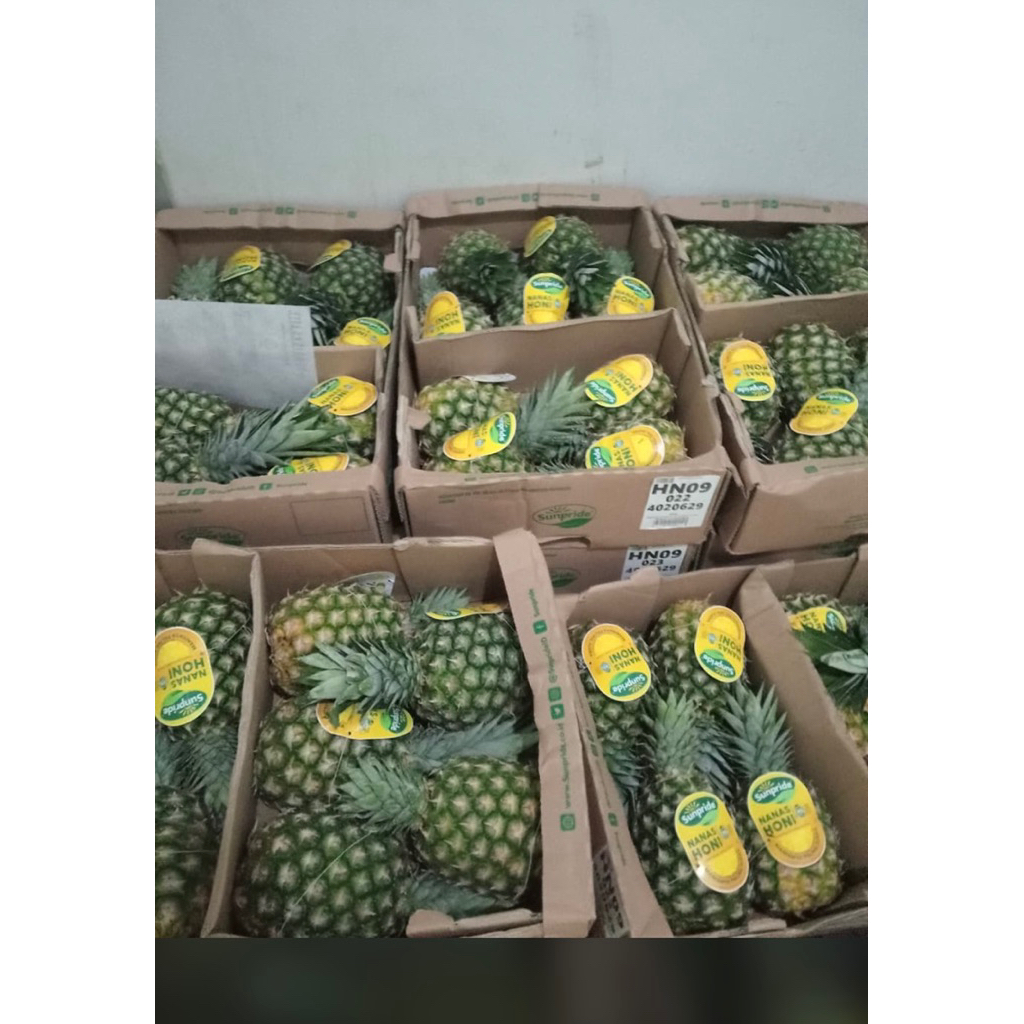 

Nanas honey sunpride box | promo nanas sunpride per box