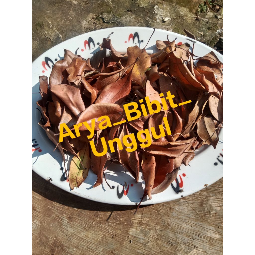 

Daun cengkeh 100 gram