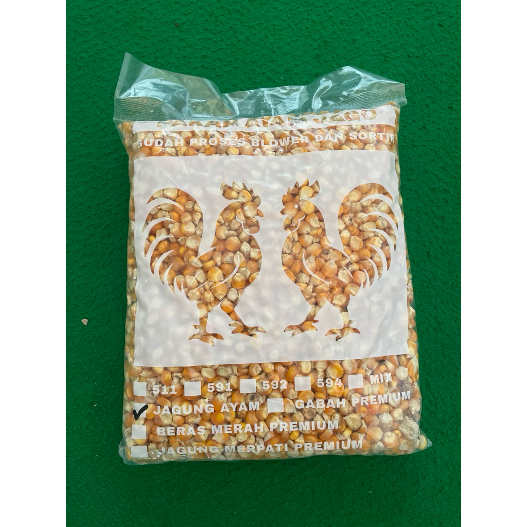 

jagung ayam pakan ternak 1kg makanan unggas jagung pipil jagung besar