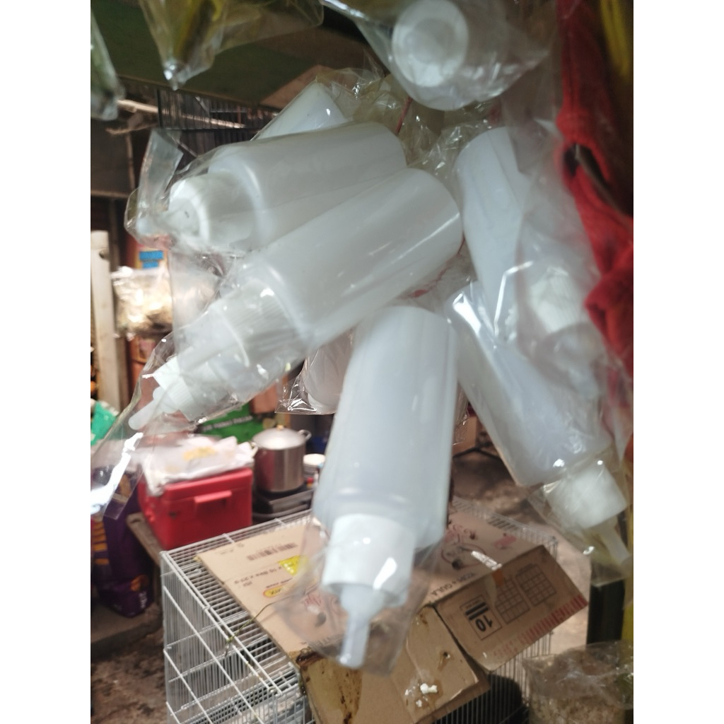 dotan otter baby | dot kucing | dot musang