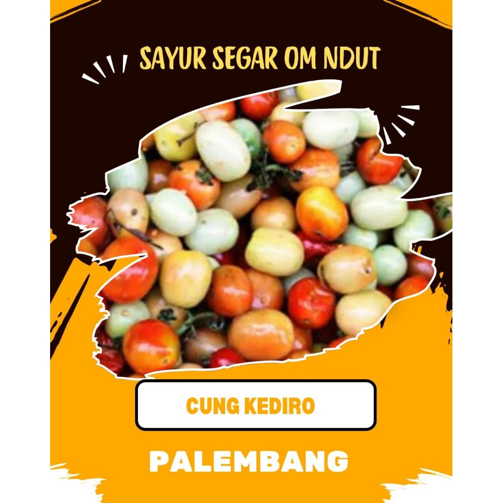 

TOMAT CUNG / CUNG KEDIRO - INSTAN PALEMBANG