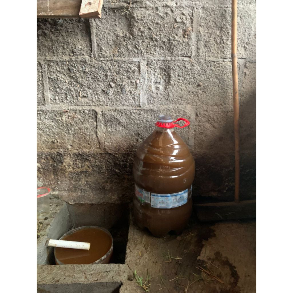 urine kambing murni 100%  Fresh - Bahan POC Alami untuk Tanaman