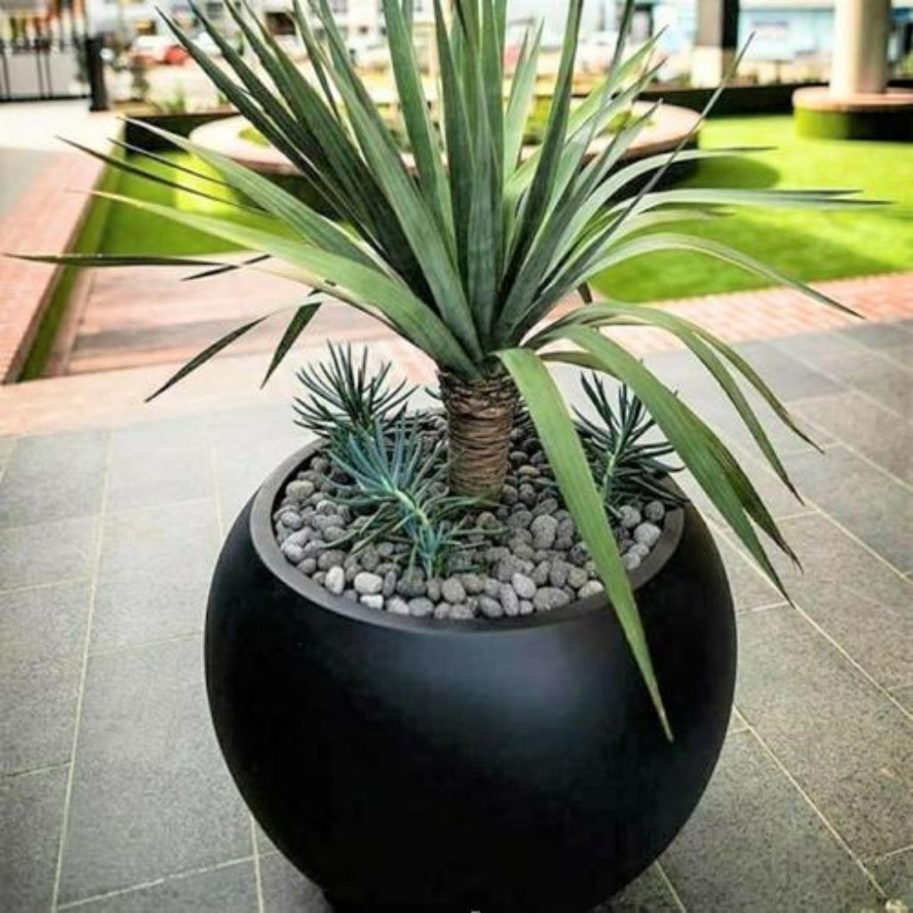 pot teraso bola hitam doff dan abu glossy