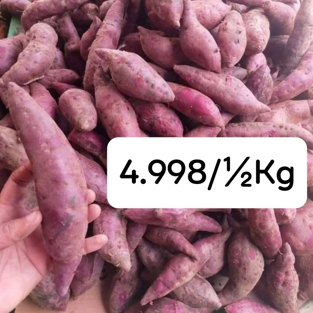 

Standart Ubi Ungu Madu 500 gram | Dengan antioksidan tinggi cegah kanker