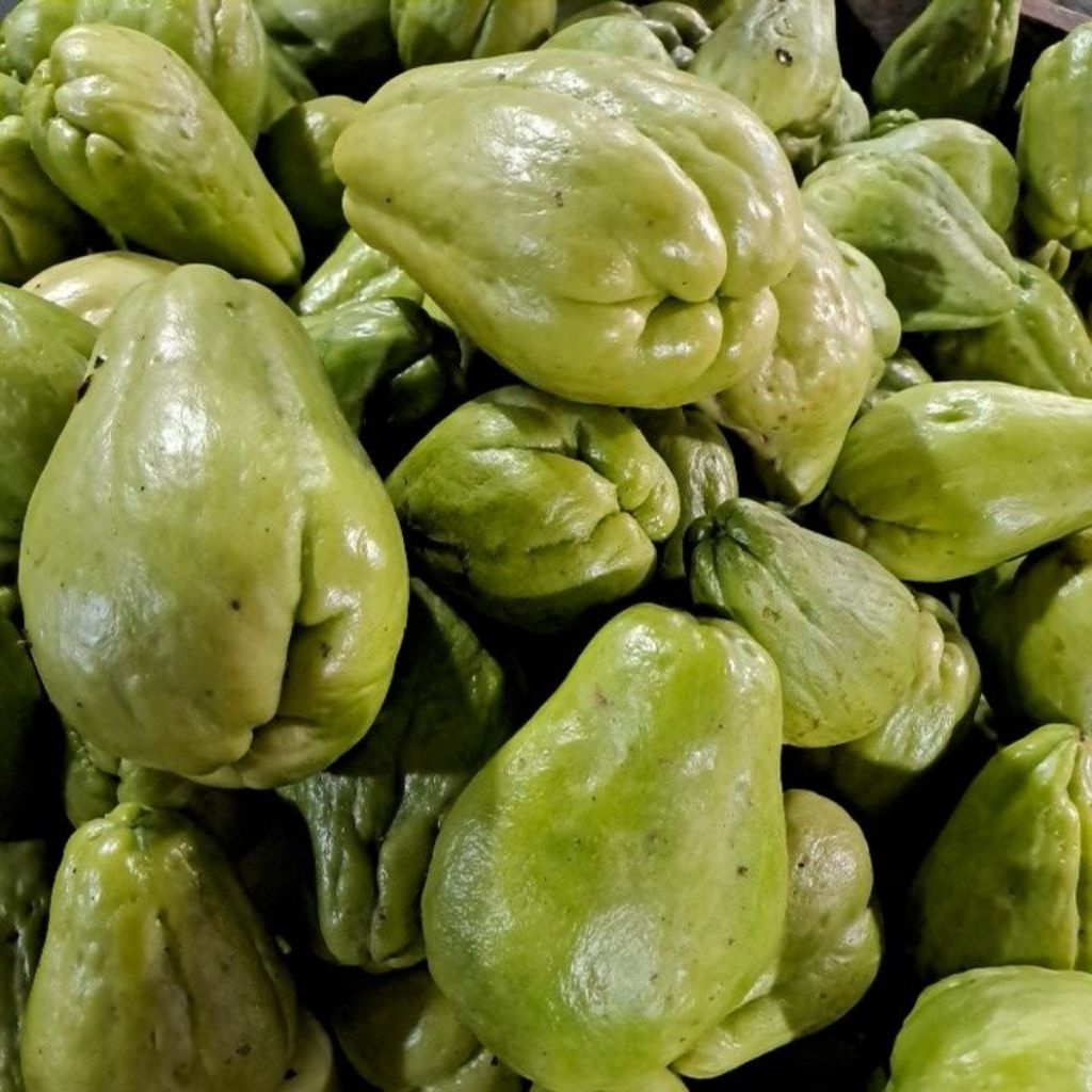 

Waluh Besar Labu Hijau Per Biji Bandung