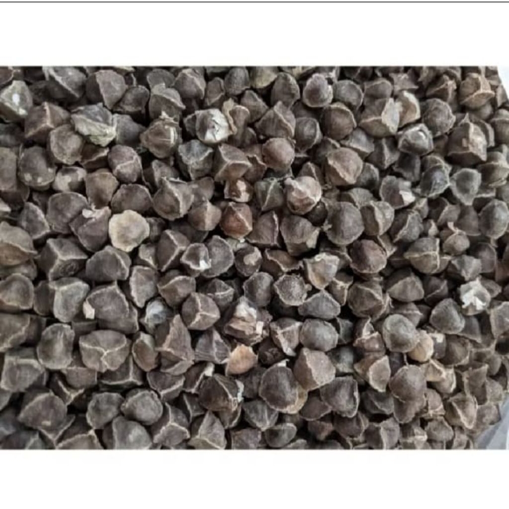 

BIJI KELOR GUNDUL 1/2KG