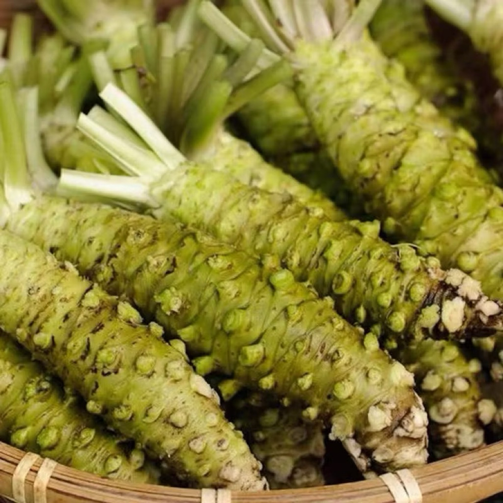 

Wasabi Root | Wasabi Batang Utuh Fresh | Batang Wasabi Import 500gram