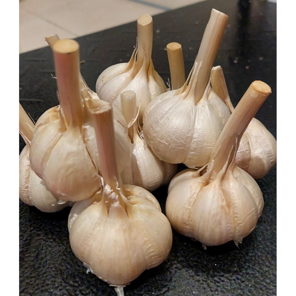 

BAWANG PUTIH KATING 1KG