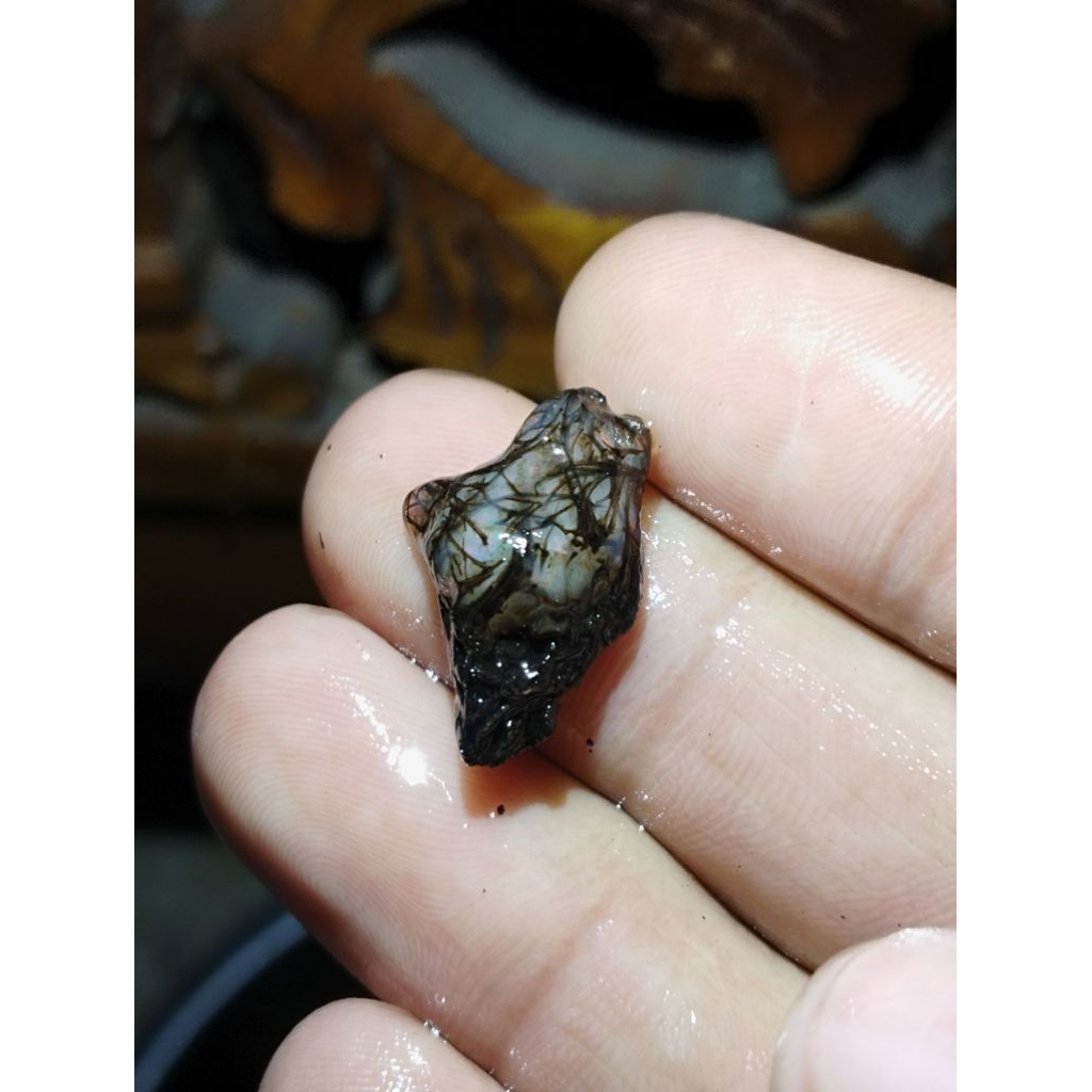 bahan black opal sempur