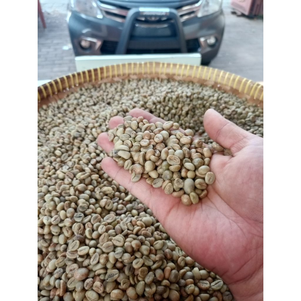 

Greenbean Robusta Dampit Grade 1A