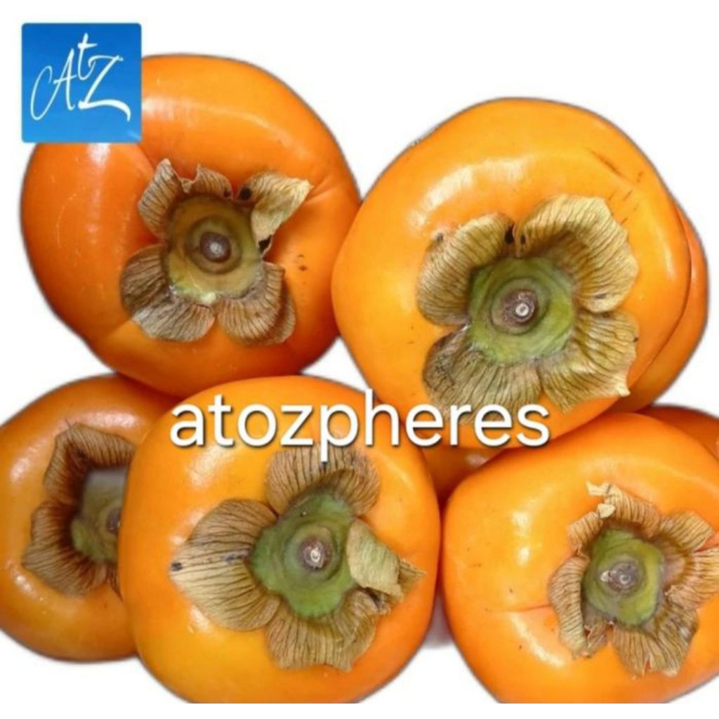 

Buah genit kesemek kesemak impor import persimmon 500g