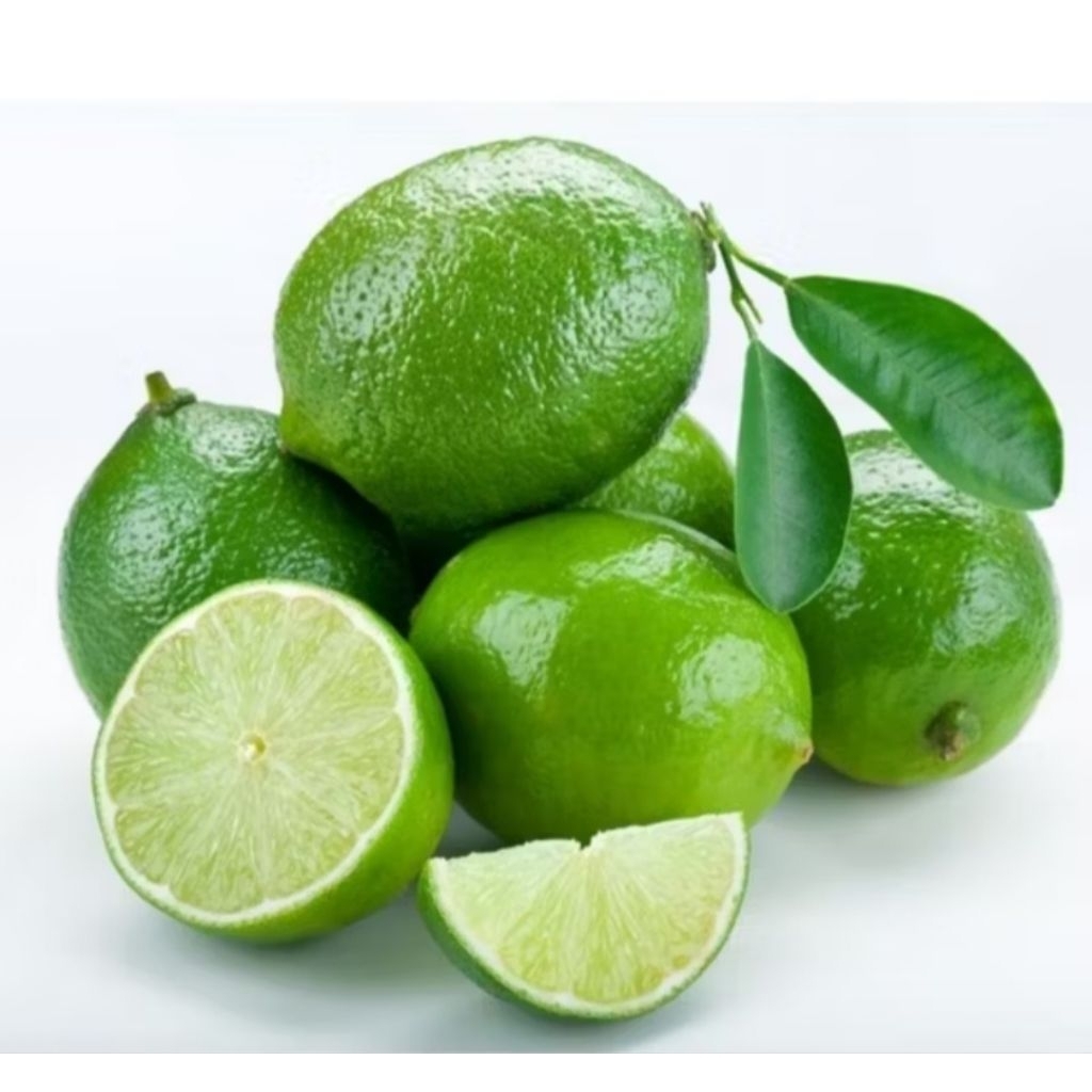 

JERUK NIPIS SEGAR / JERUK NIPIS BERKUALITAS