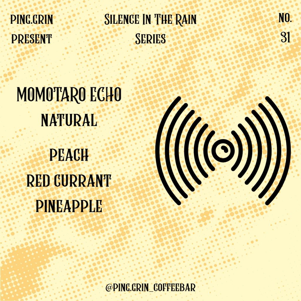 

Momotaro Echo - Natural - Filter Arabica Beans No.31