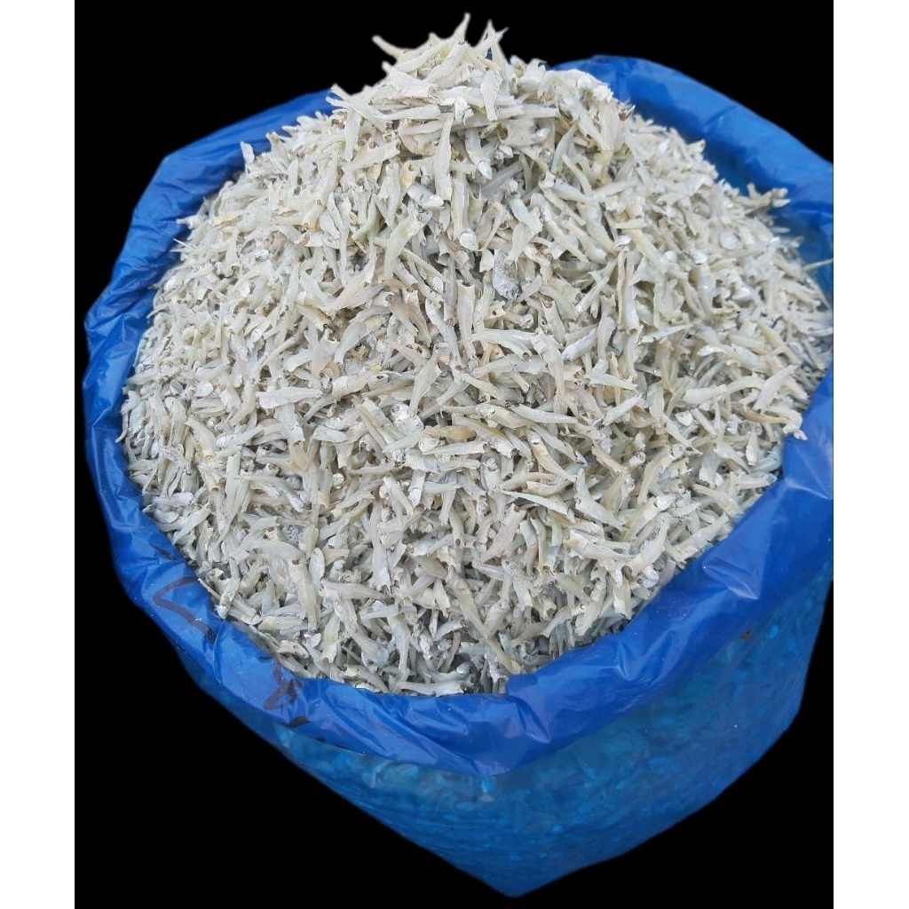 

ikan teri pekto/teri gepeng medan