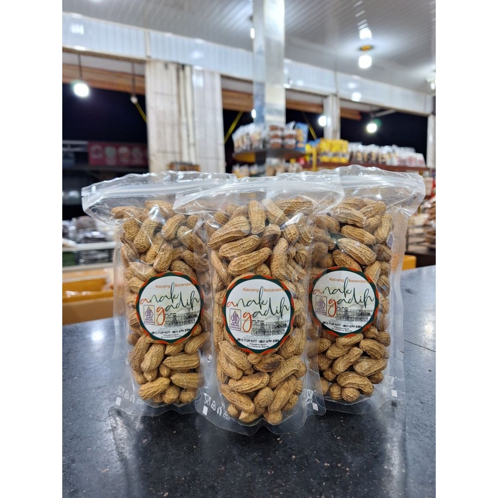 

Kacang Kulit — Sanjai Rina