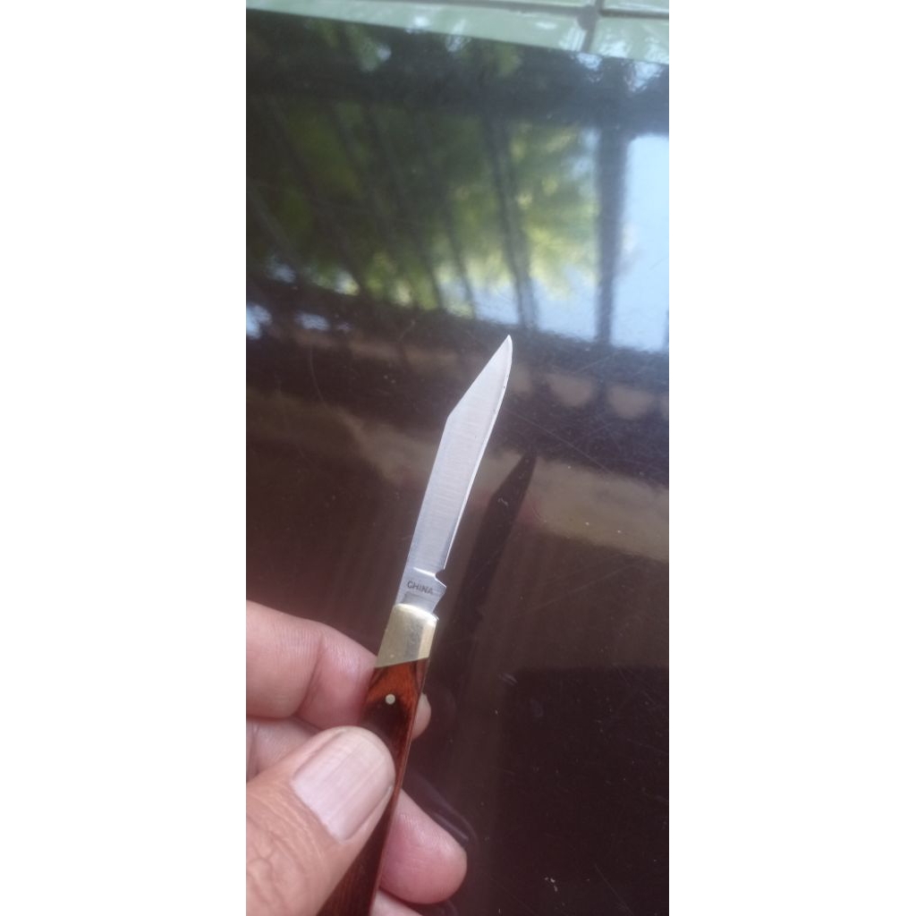 Buck Knive 379 Solo,single Blade folding pocket knife with Wood handle