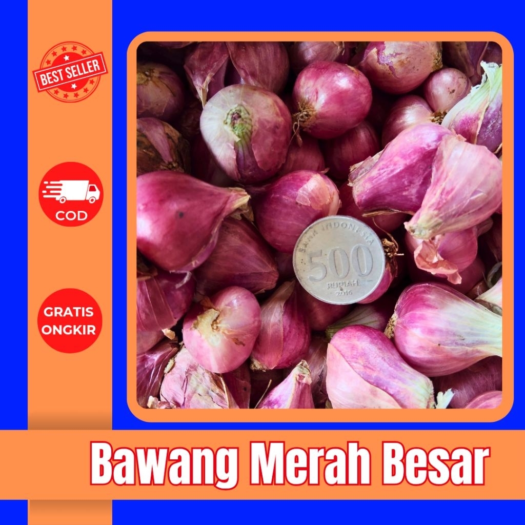 

Bawang Merah Besar Kering 250g–1kg | Fresh Langsung dari Petani