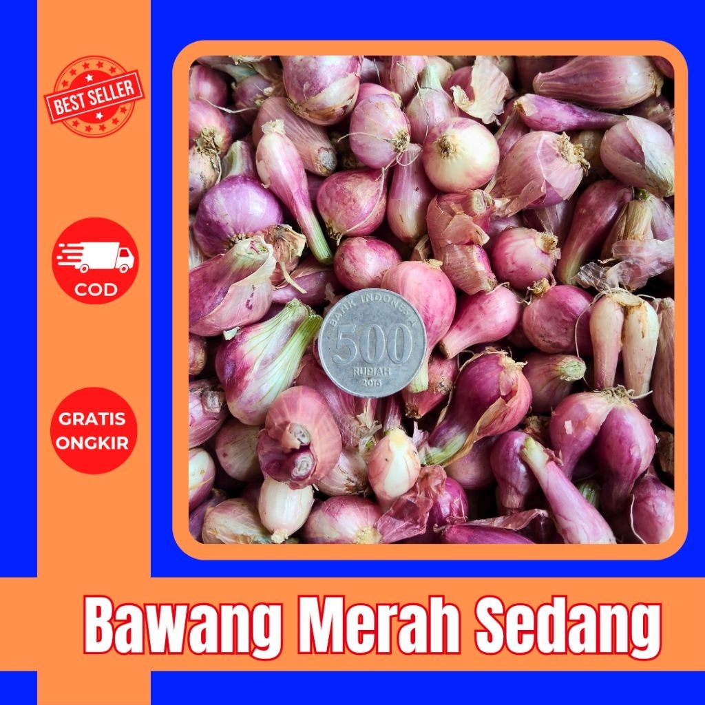

Bawang Merah Sedang Kering 250g–1kg | Fresh Langsung dari Petani