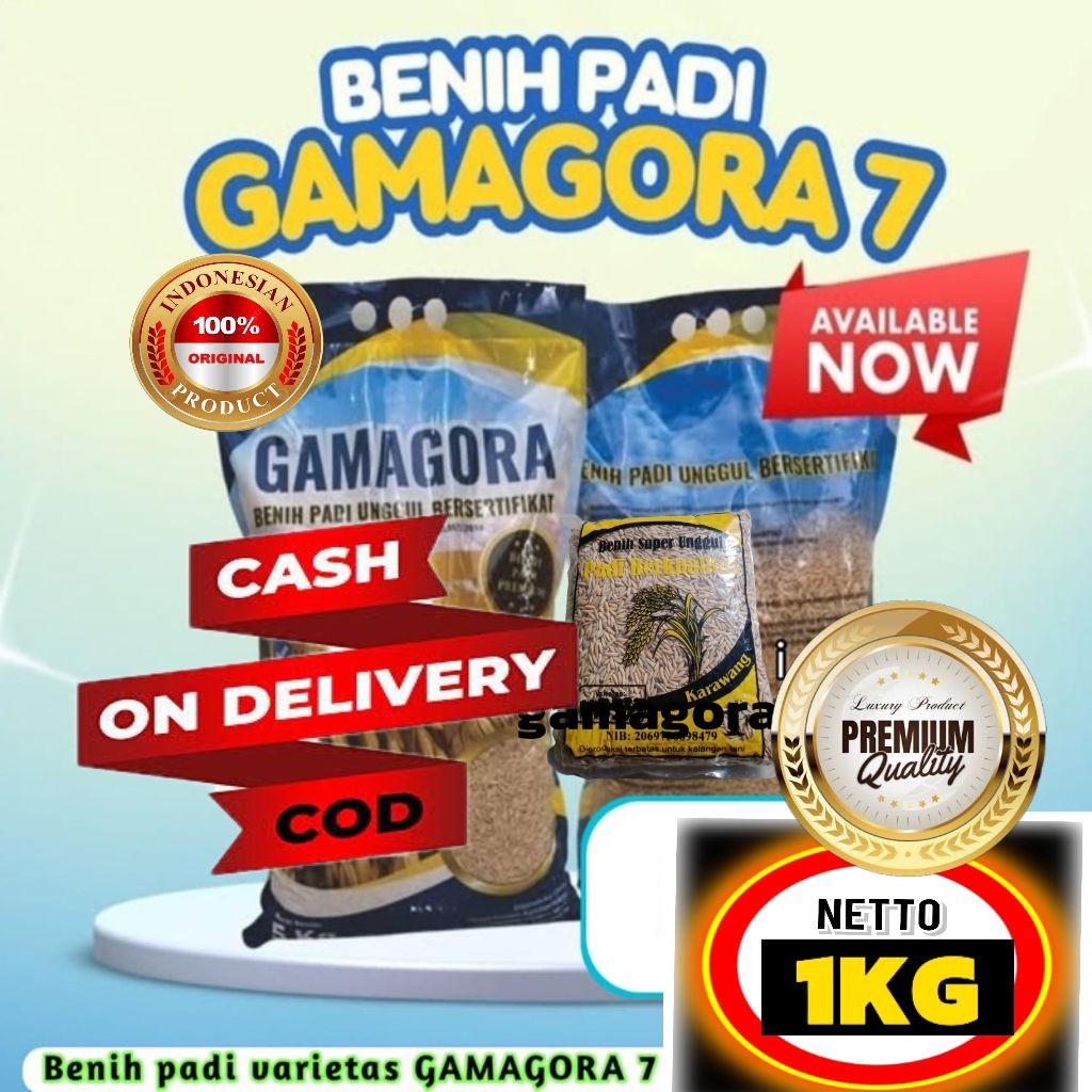 BENIH PADI GAMAGORA 7 SUPER PALING UNGGUL TERBARU BERKUALITAS KEMASAN 1KG.
