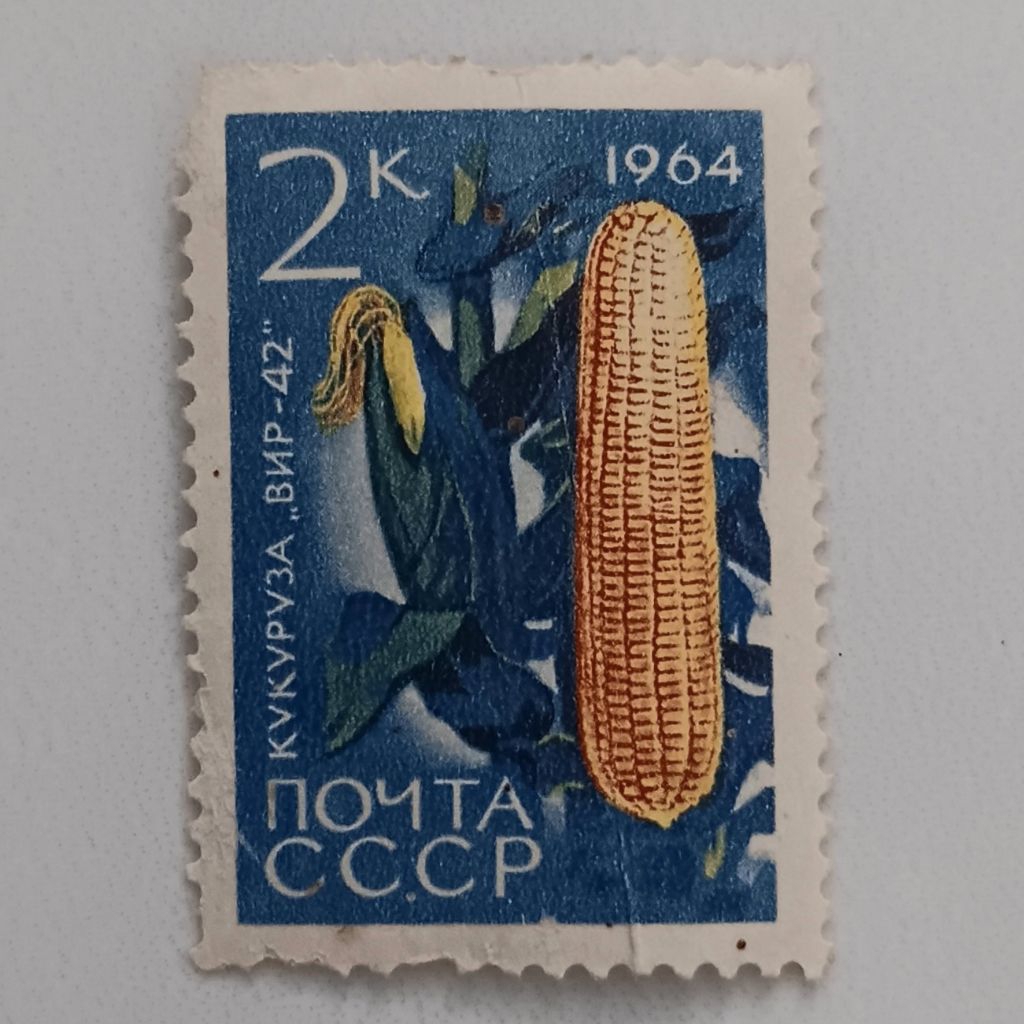

(AD) Perangko Uni Soviet, USSR 1964 Agricultural Crops - Maize (Zeya mais) 2 kopek Mint