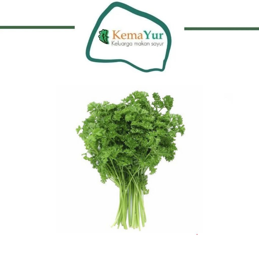 

PARSLEY 500 GR