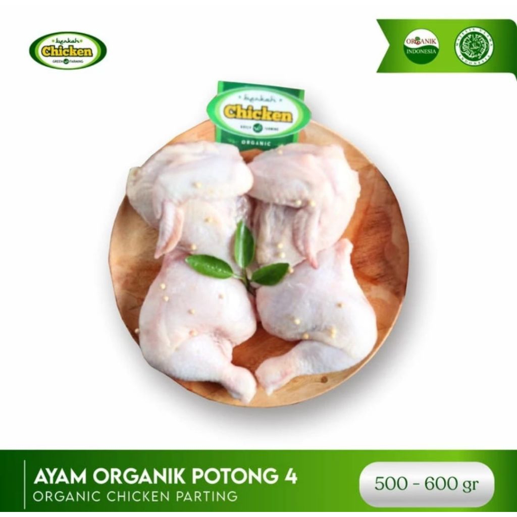

Ayam potong 4 probiotik berkah chicken organik