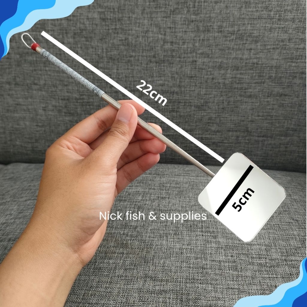 Stik Cupang Stick Cermin Ikan Channa Predator avatar bahan stainless latih mental ikan betta fish