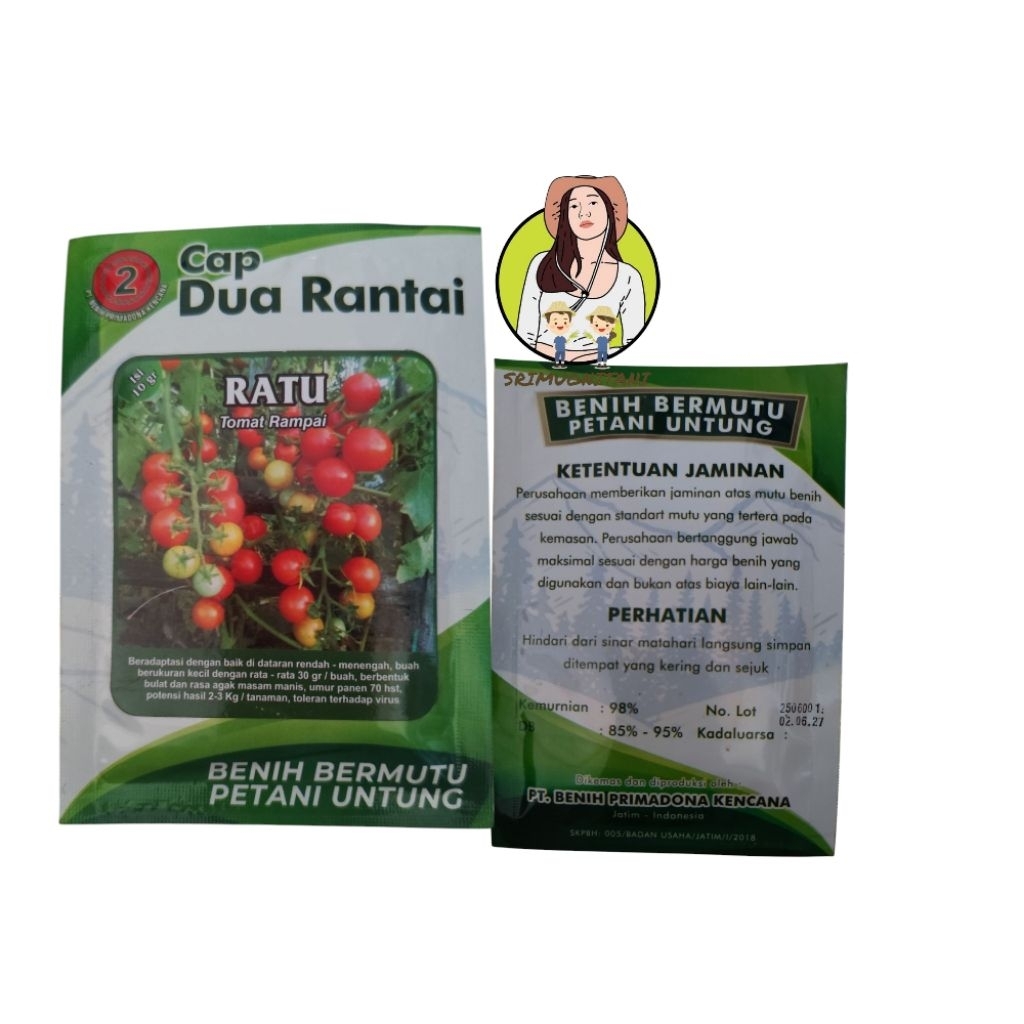 benih tomat rampai RATU cap dua rantai isi 10gram setara dengan tomat KARUNA bintang asia