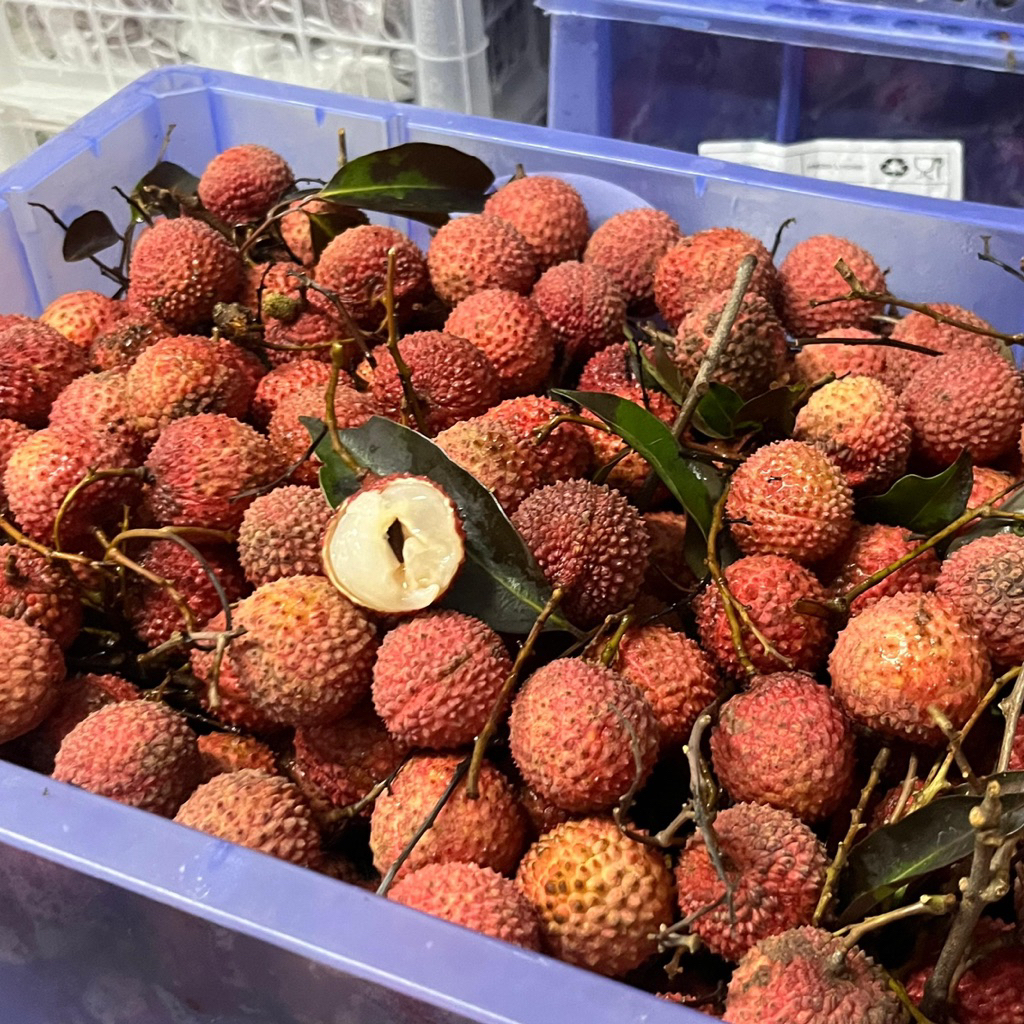 

LYCHEE MERAH LECI RED | PER KRAT | MANIS
