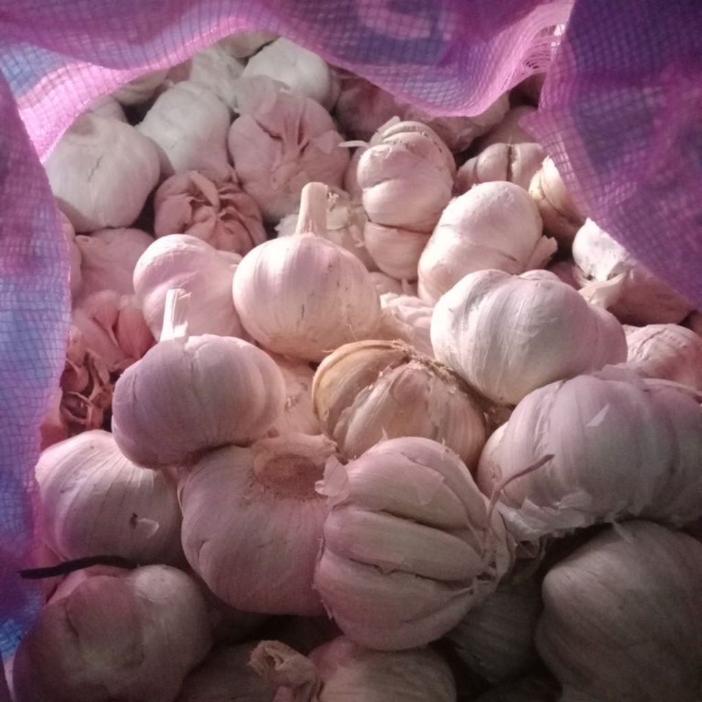 

bawang putih bersih 1kg murah