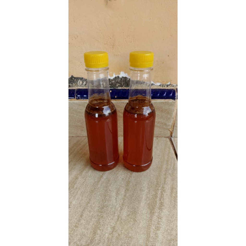 

madu hutan borneo asli madu madu