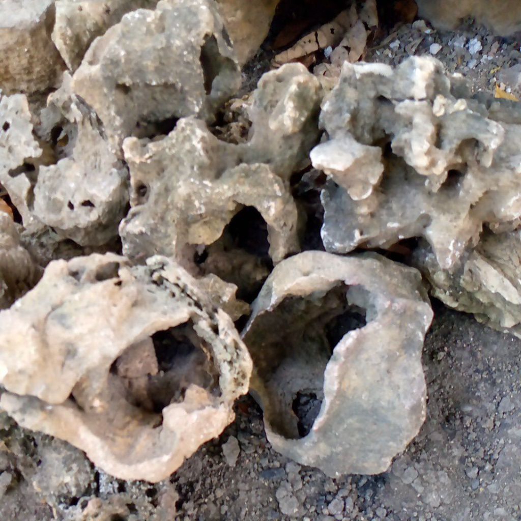 ready batu karang gunung,bolong"