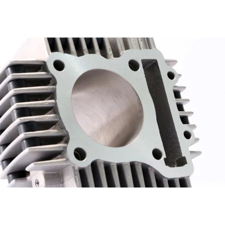 #5099 CYLINDER ANIMA 190CC