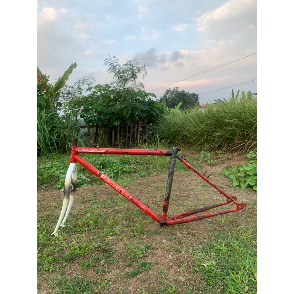 Frame Set Federal Torino Terrain Not Streetcat Not Cityvat