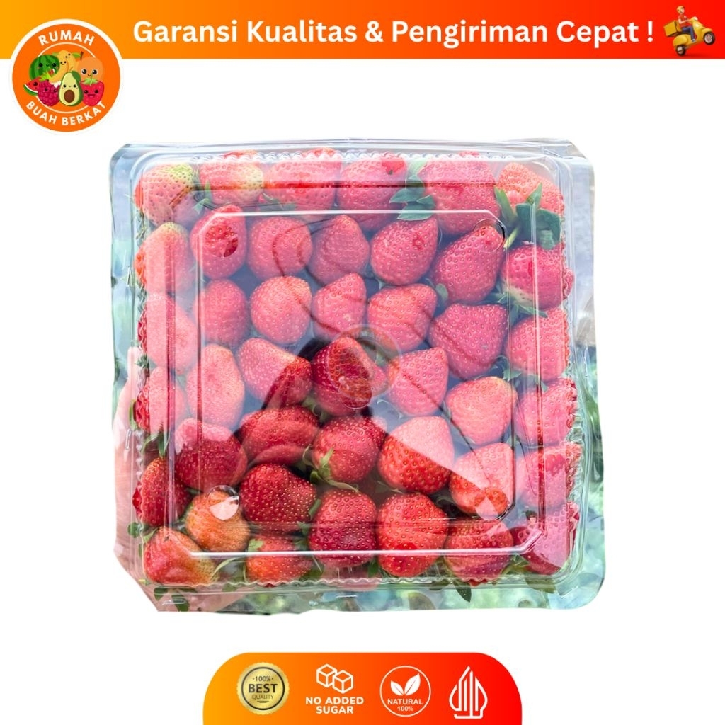 

Buah Strawberry Fresh Premium / Strawberry Fresh Grade A Segar Manis / Strawberry Fresh Kemasan 1 Kg