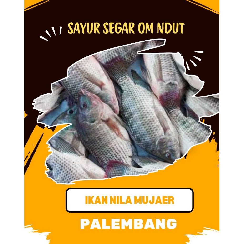 

IKAN NILA MUJAIR - INSTAN PALEMBANG