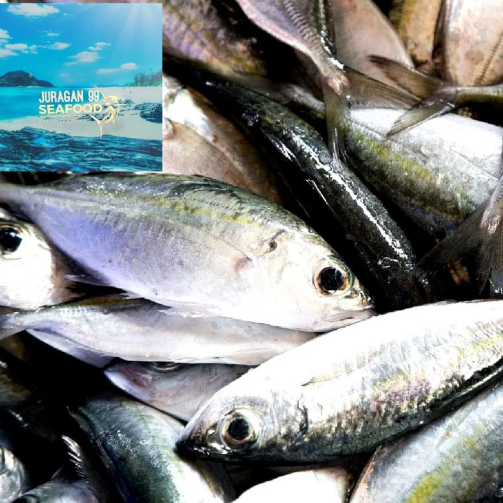 

ikan kembung bentrong segar 1 KG