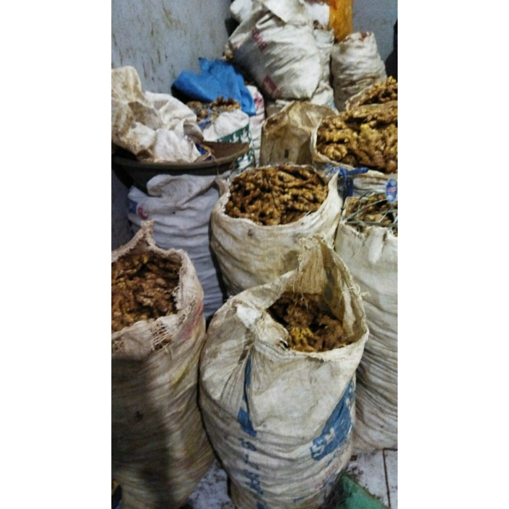 

jahe emprit paris lokal 50kg husus grosir sudah cuci