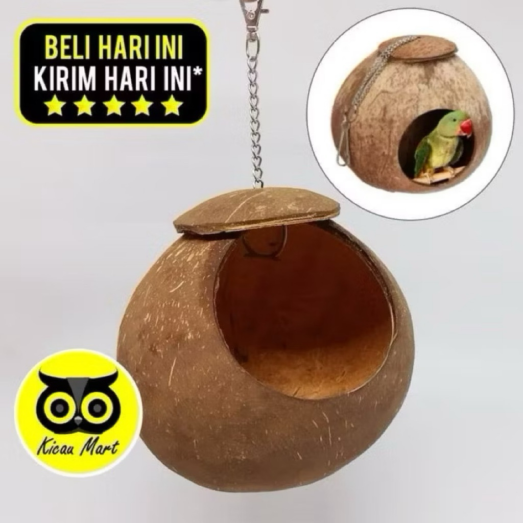 Glodok Batok Tempurung Kelapa Sarang Glodok Kicau Mart R