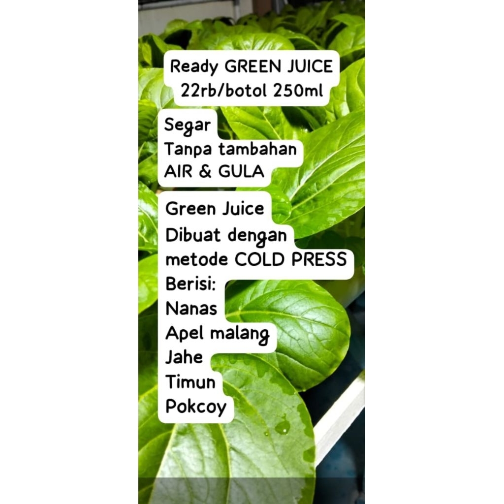 

GREEN JUICE KHUSUS PENGIRIMAN INSTAN